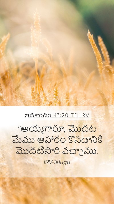ఆదికాండం 43:20 TELIRV Bible Verse Image