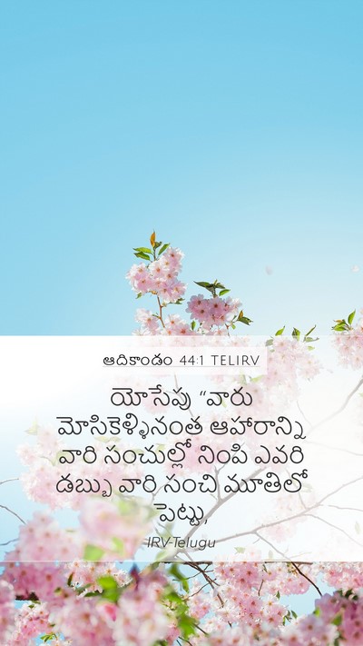 ఆదికాండం 44:1 TELIRV Mobile Phone Wallpaper - యోసేపు “వారు - Mobile Bible Verse Wallpaper
