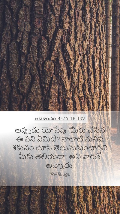 ఆదికాండం 44:15 TELIRV Bible Verse Image