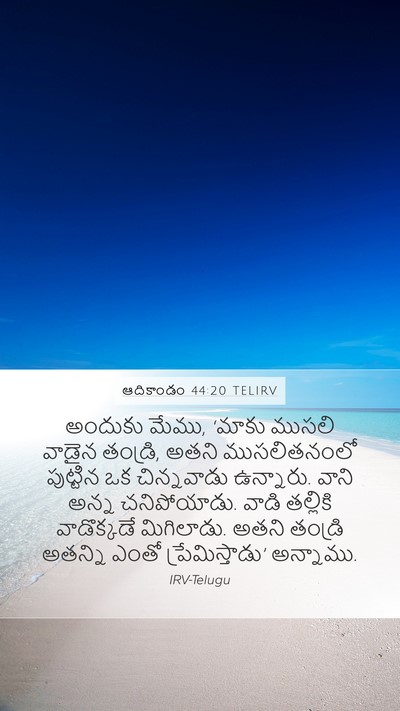 ఆదికాండం 44:20 TELIRV Bible Verse Image