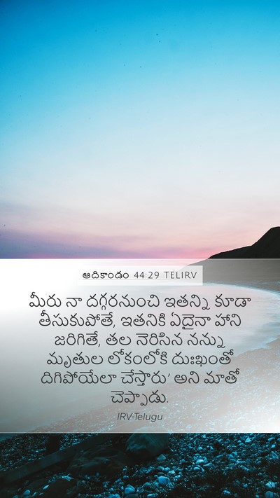 ఆదికాండం 44:29 TELIRV Bible Verse Image