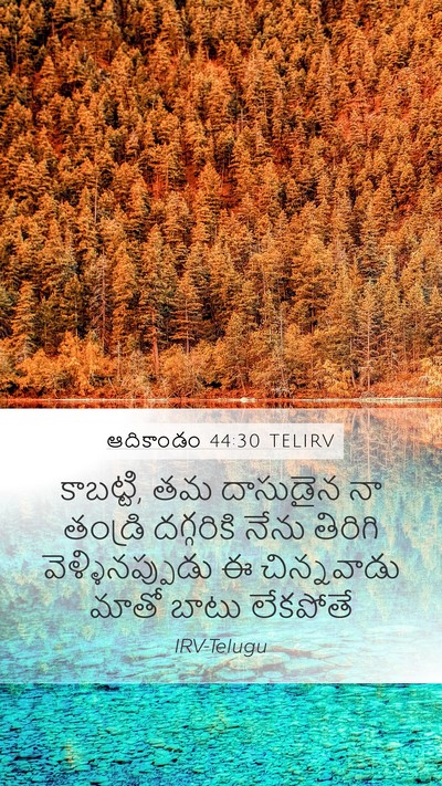 ఆదికాండం 44:30 TELIRV Bible Verse Image