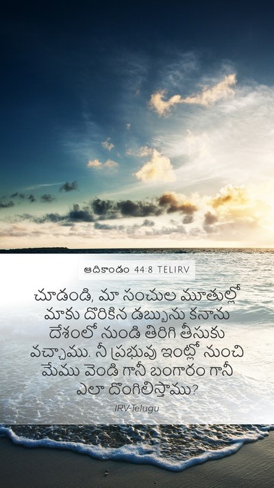 ఆదికాండం 44:8 TELIRV Mobile Phone Wallpaper - చూడండి, మా సంచుల - Mobile Bible Verse Wallpaper