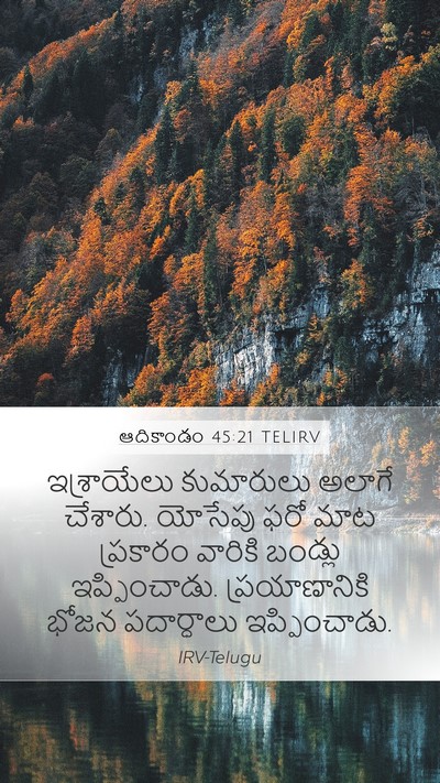 ఆదికాండం 45:21 TELIRV Mobile Phone Wallpaper - ఇశ్రాయేలు - Mobile Bible Verse Wallpaper