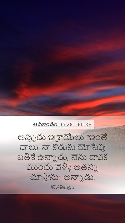 ఆదికాండం 45:28 TELIRV Bible Verse Image