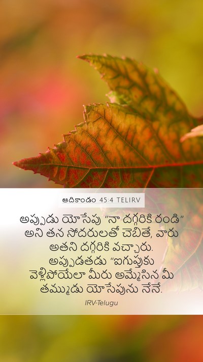 ఆదికాండం 45:4 TELIRV Bible Verse Image