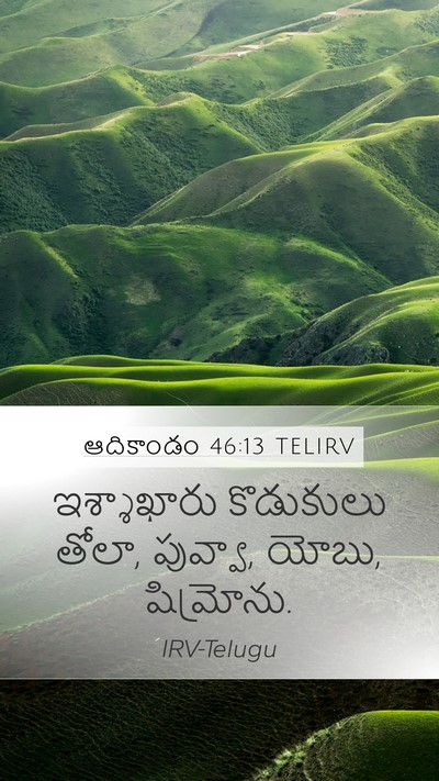 ఆదికాండం 46:13 TELIRV Bible Verse Image