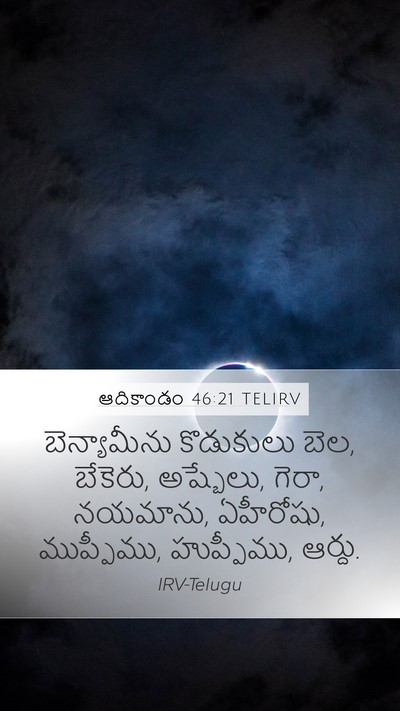ఆదికాండం 46:21 TELIRV Bible Verse Image