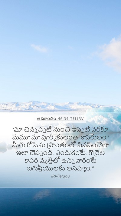 ఆదికాండం 46:34 TELIRV Bible Verse Image