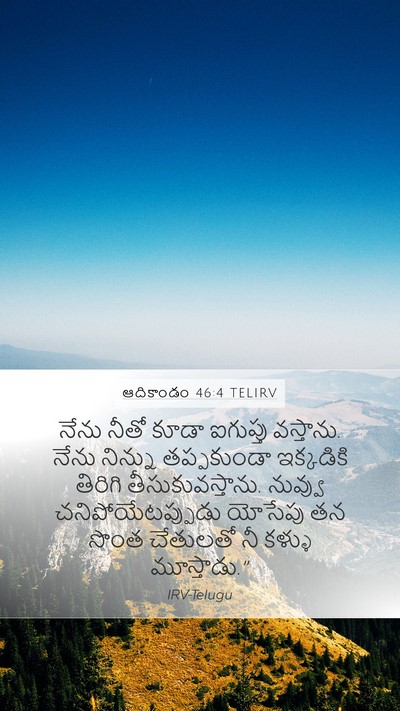 ఆదికాండం 46:4 TELIRV Bible Verse Image