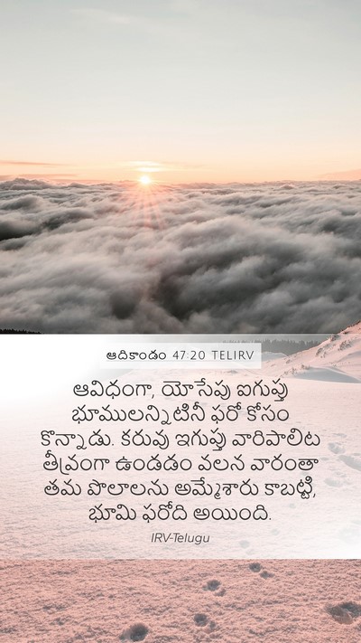ఆదికాండం 47:20 TELIRV Mobile Phone Wallpaper - ఆవిధంగా, యోసేపు - Mobile Bible Verse Wallpaper