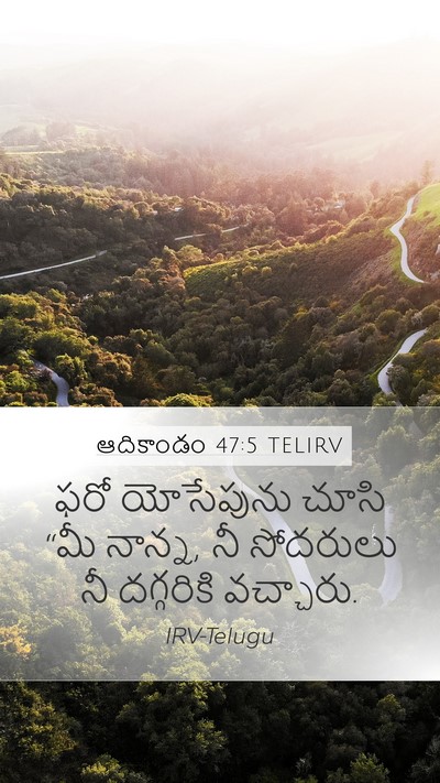 ఆదికాండం 47:5 TELIRV Mobile Phone Wallpaper - ఫరో యోసేపును చూసి - Mobile Bible Verse Wallpaper