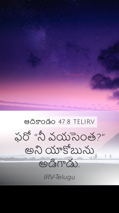 ఆదికాండం 47:8 TELIRV Mobile Phone Wallpaper - ఫరో “నీ వయసెంత?” - Mobile Bible Verse Wallpaper