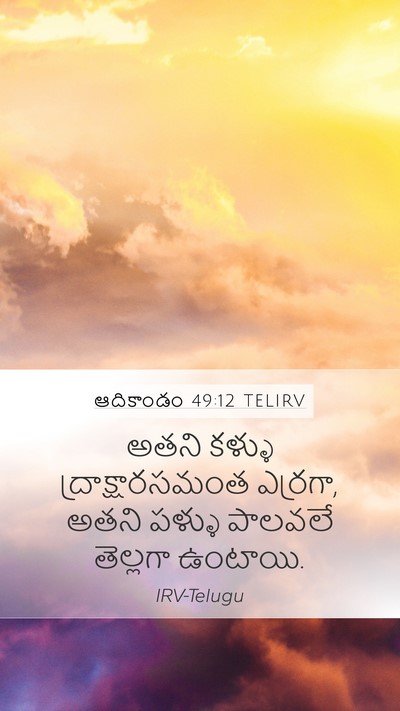 ఆదికాండం 49:12 TELIRV Mobile Phone Wallpaper - అతని కళ్ళు - Mobile Bible Verse Wallpaper
