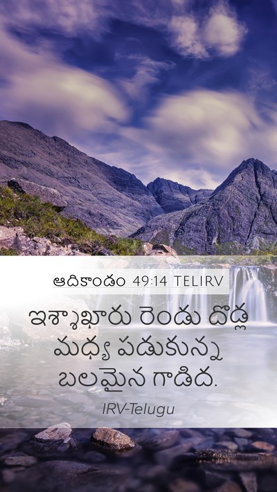 ఆదికాండం 49:14 TELIRV Bible Verse Image