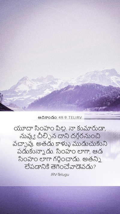 ఆదికాండం 49:9 TELIRV Bible Verse Image