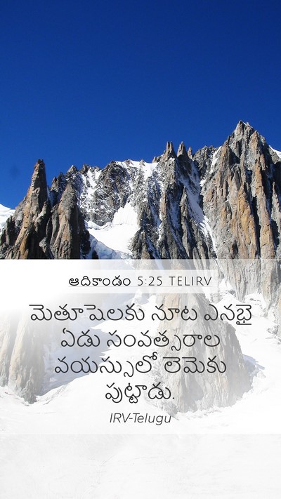 ఆదికాండం 5:25 TELIRV Mobile Phone Wallpaper - మెతూషెలకు నూట - Mobile Bible Verse Wallpaper