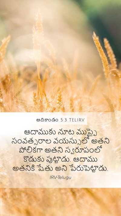 ఆదికాండం 5:3 TELIRV Mobile Phone Wallpaper - ఆదాముకు నూట - Mobile Bible Verse Wallpaper