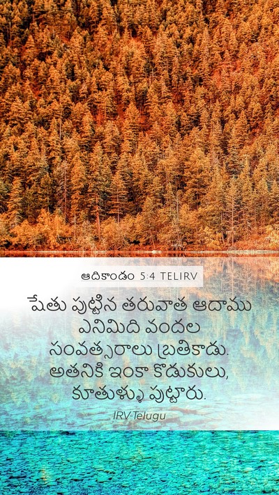 ఆదికాండం 5:4 TELIRV Mobile Phone Wallpaper - షేతు పుట్టిన - Mobile Bible Verse Wallpaper