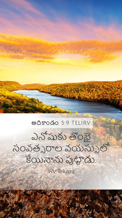 ఆదికాండం 5:9 TELIRV Mobile Phone Wallpaper - ఎనోషుకు తొంభై - Mobile Bible Verse Wallpaper