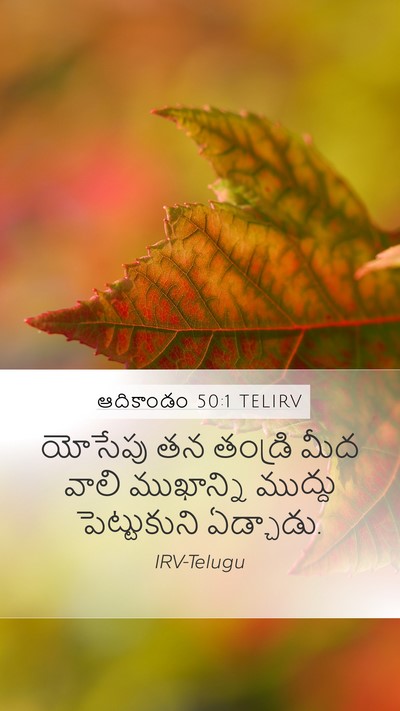 ఆదికాండం 50:1 TELIRV Mobile Phone Wallpaper - యోసేపు తన తండ్రి - Mobile Bible Verse Wallpaper