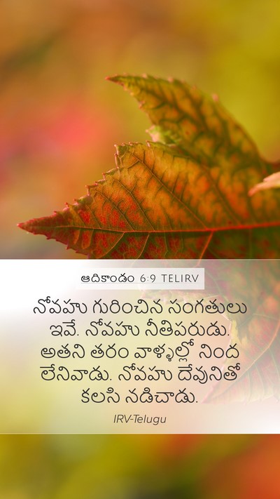 ఆదికాండం 6:9 TELIRV Bible Verse Image