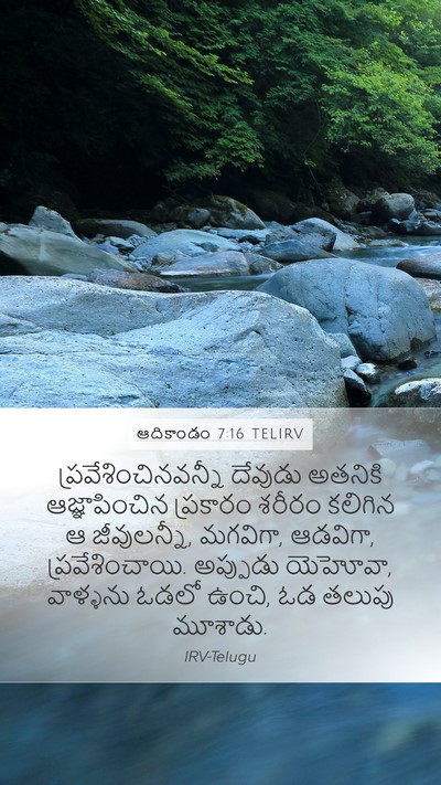 ఆదికాండం 7:16 TELIRV Mobile Phone Wallpaper - ప్రవేశించినవన్నీ - Mobile Bible Verse Wallpaper