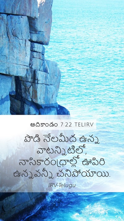 ఆదికాండం 7:22 TELIRV Mobile Phone Wallpaper - పొడి నేలమీద ఉన్న - Mobile Bible Verse Wallpaper
