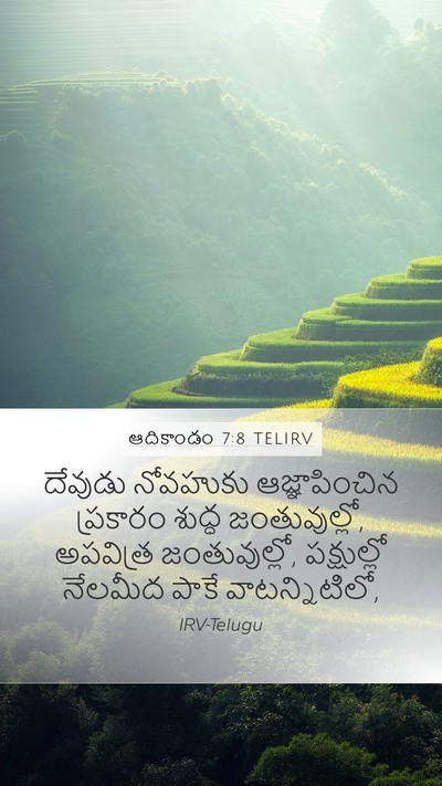 ఆదికాండం 7:8 TELIRV Bible Verse Image
