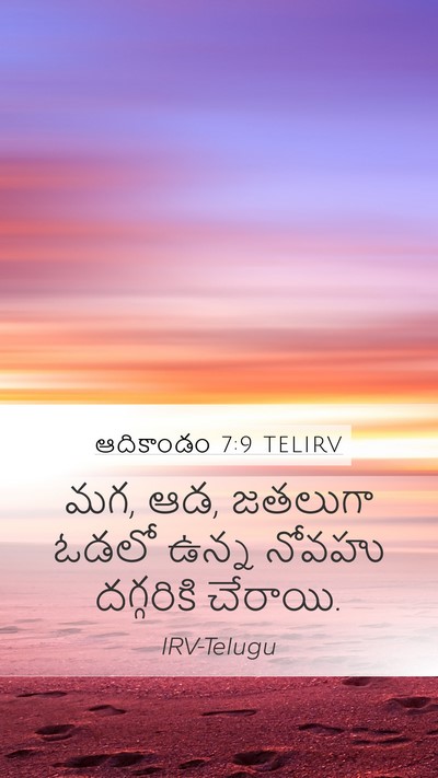 ఆదికాండం 7:9 TELIRV Mobile Phone Wallpaper - మగ, ఆడ, జతలుగా ఓడలో - Mobile Bible Verse Wallpaper