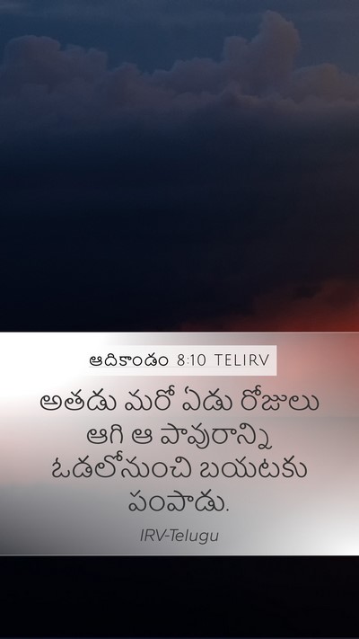 ఆదికాండం 8:10 TELIRV Mobile Phone Wallpaper - అతడు మరో ఏడు - Mobile Bible Verse Wallpaper