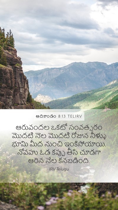 ఆదికాండం 8:13 TELIRV Bible Verse Image
