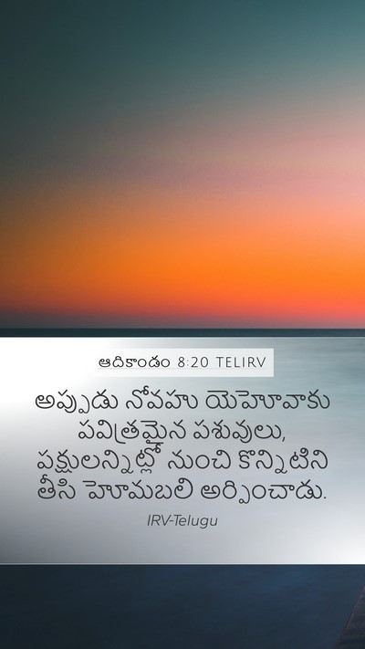 ఆదికాండం 8:20 TELIRV Bible Verse Image