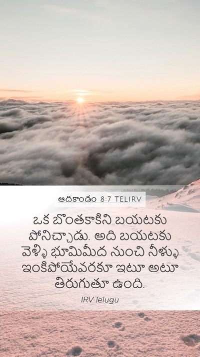 ఆదికాండం 8:7 TELIRV Mobile Phone Wallpaper - ఒక బొంతకాకిని - Mobile Bible Verse Wallpaper