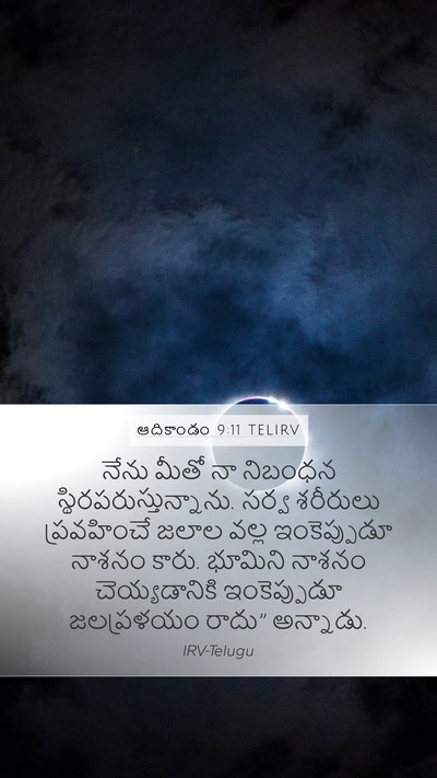 ఆదికాండం 9:11 TELIRV Bible Verse Image