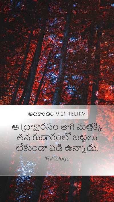 ఆదికాండం 9:21 TELIRV Bible Verse Image