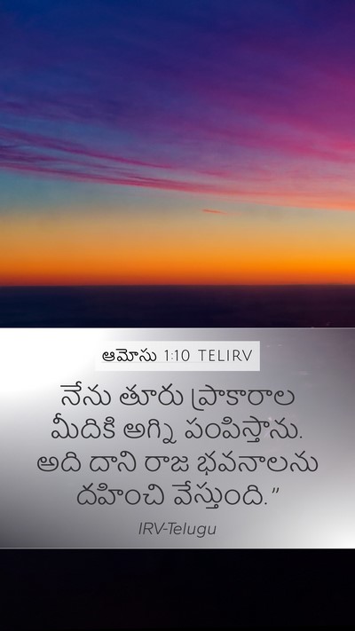 ఆమోసు 1:10 TELIRV Bible Verse Image
