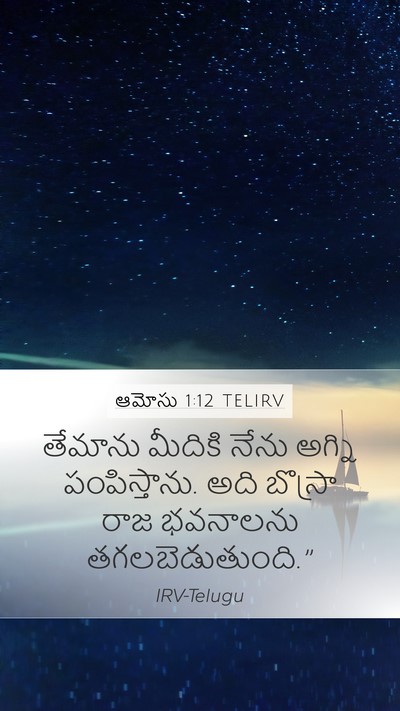 ఆమోసు 1:12 TELIRV Bible Verse Image