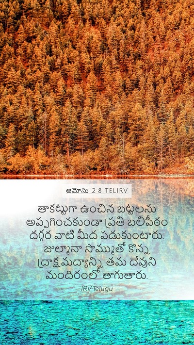 ఆమోసు 2:8 TELIRV Bible Verse Image