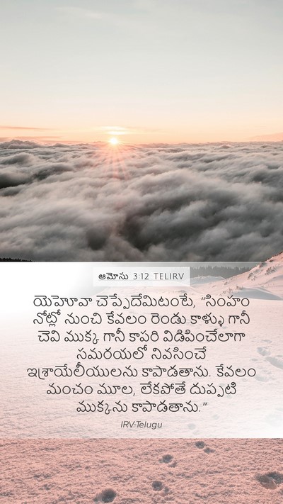 ఆమోసు 3:12 TELIRV Bible Verse Image
