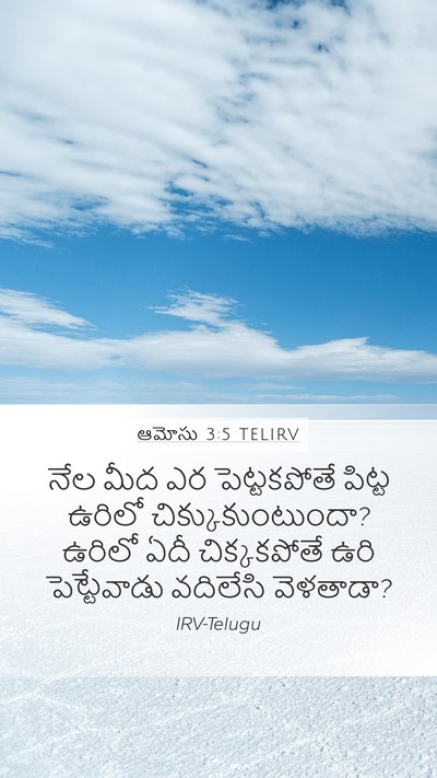 ఆమోసు 3:5 TELIRV Bible Verse Image