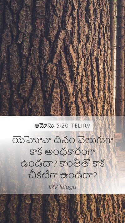 ఆమోసు 5:20 TELIRV Bible Verse Image