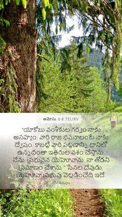 ఆమోసు 6:8 TELIRV Bible Verse Image