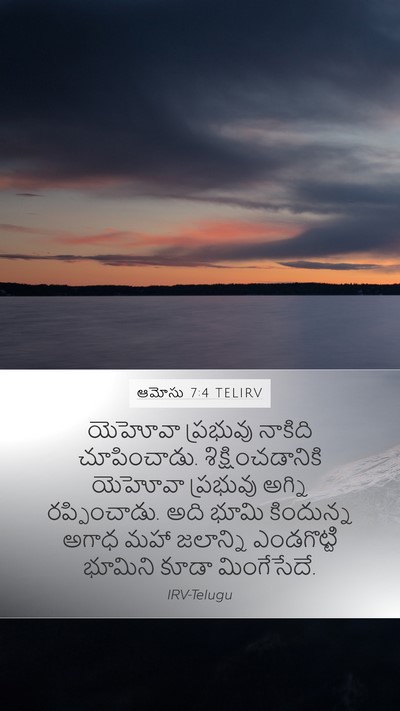 ఆమోసు 7:4 TELIRV Bible Verse Image