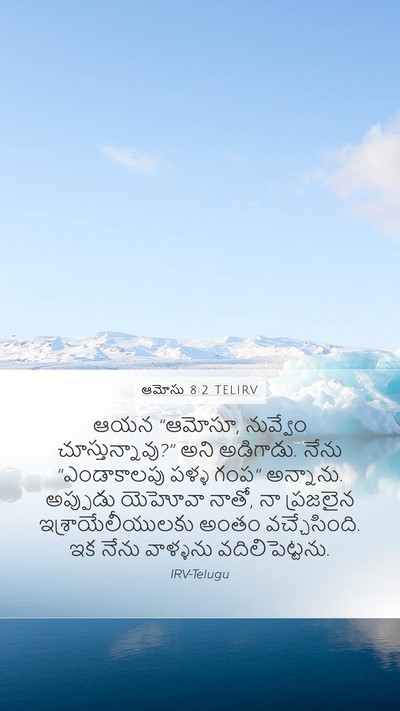 ఆమోసు 8:2 TELIRV Bible Verse Image