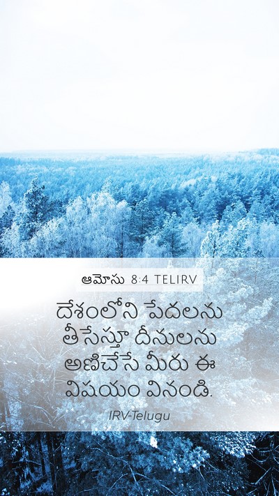ఆమోసు 8:4 TELIRV Bible Verse Image