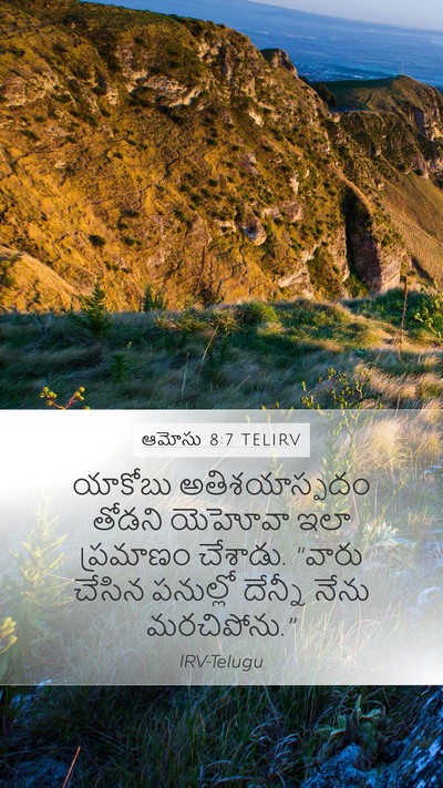 ఆమోసు 8:7 TELIRV Bible Verse Image