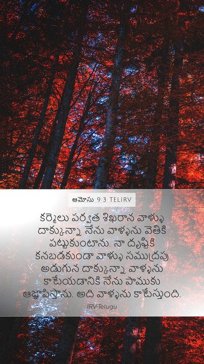 ఆమోసు 9:3 TELIRV Bible Verse Image