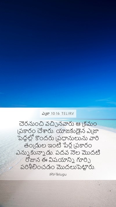 ఎజ్రా 10:16 TELIRV Bible Verse Image