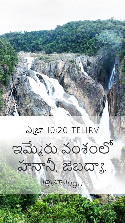 ఎజ్రా 10:20 TELIRV Mobile Phone Wallpaper - ఇమ్మేరు వంశంలో - Mobile Bible Verse Wallpaper